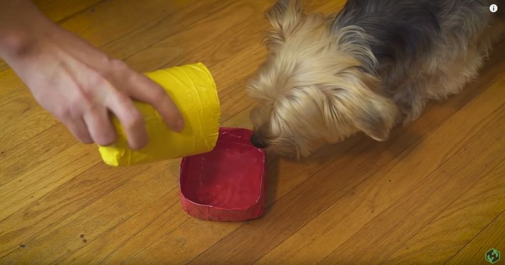 On-the-Go Doggy Bowl 