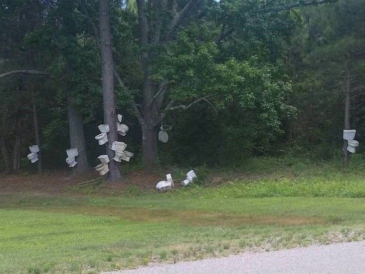 A Flock of Toilets