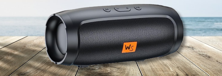 Pump Up The Jams with The Walla Sound Bluetooth Speaker